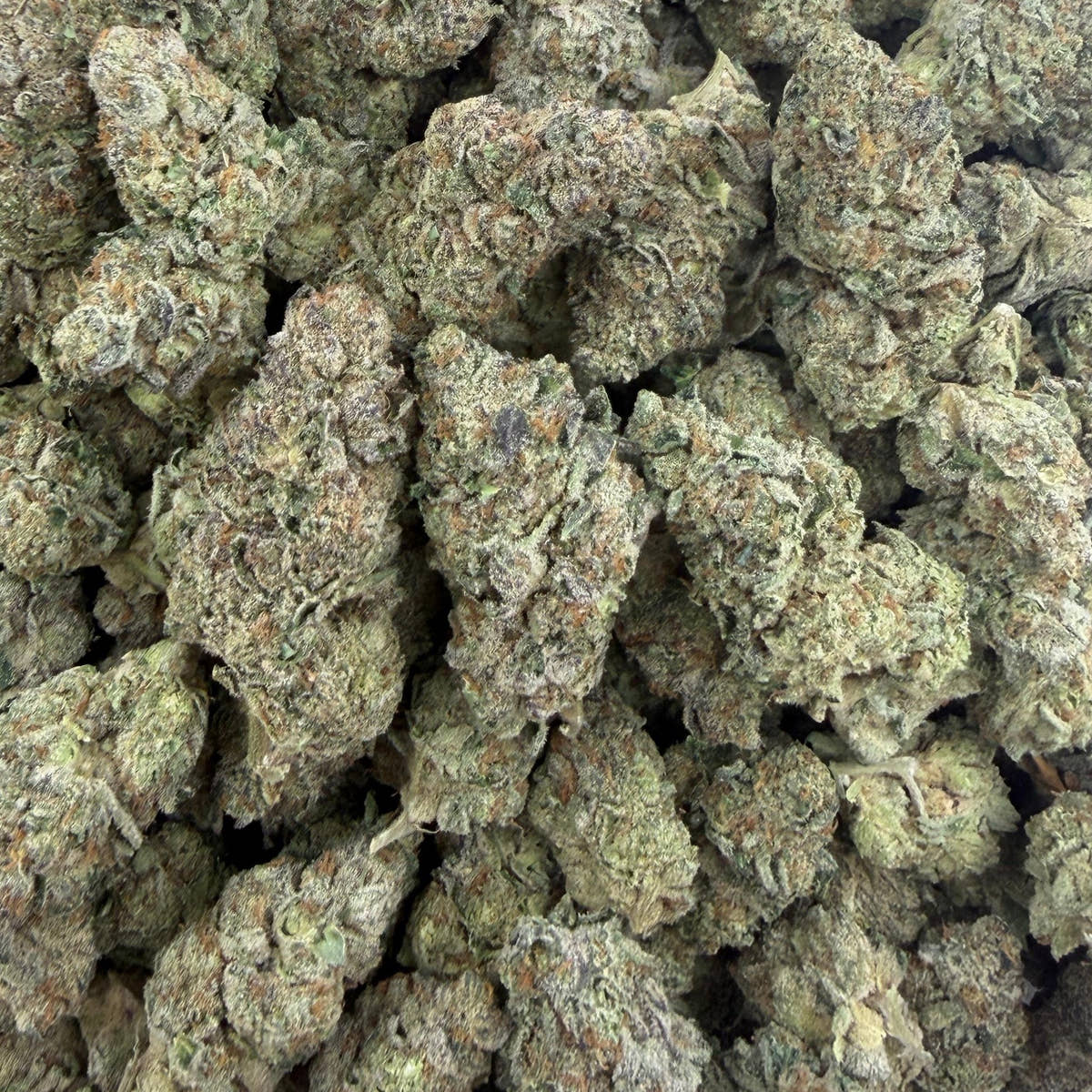 Moon Fog bulk THCA flower — Plain Jane 1 lb