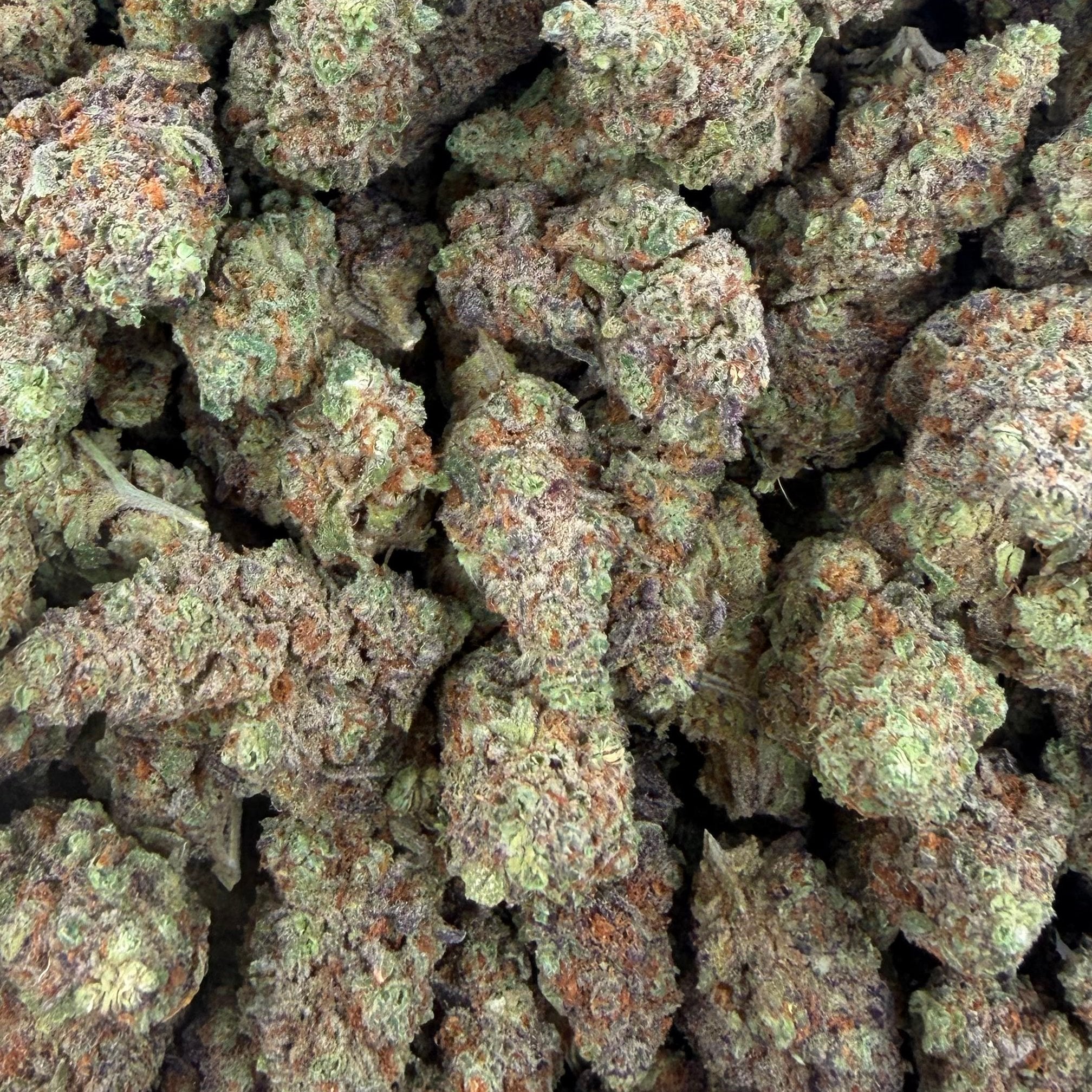 Moon Pie bulk THCA flower — Plain Jane 1 lb