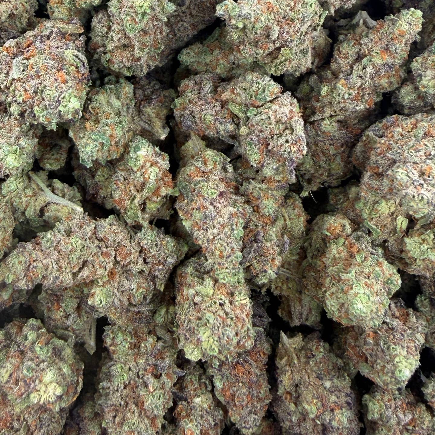 Moon Pie bulk THCA flower — Plain Jane 1 lb