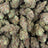 Moon Pie bulk THCA flower — Plain Jane 1 lb