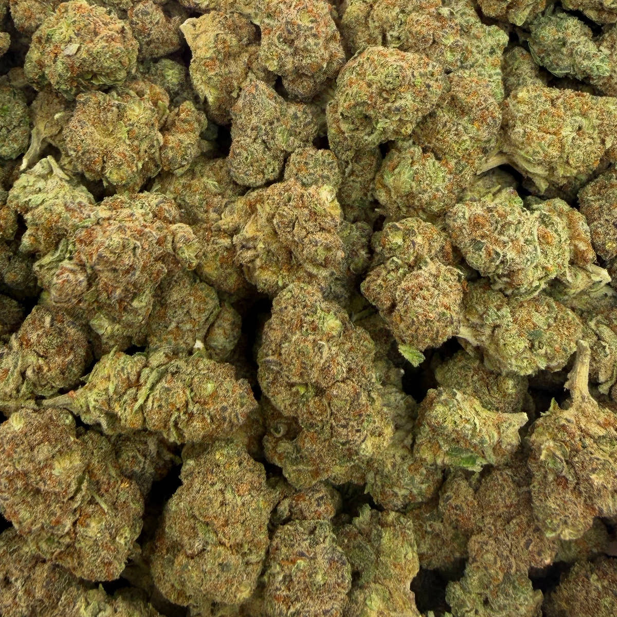 Moon Walker bulk THCA flower — Plain Jane 1 lb