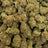 Moon Walker bulk THCA flower — Plain Jane 1 lb