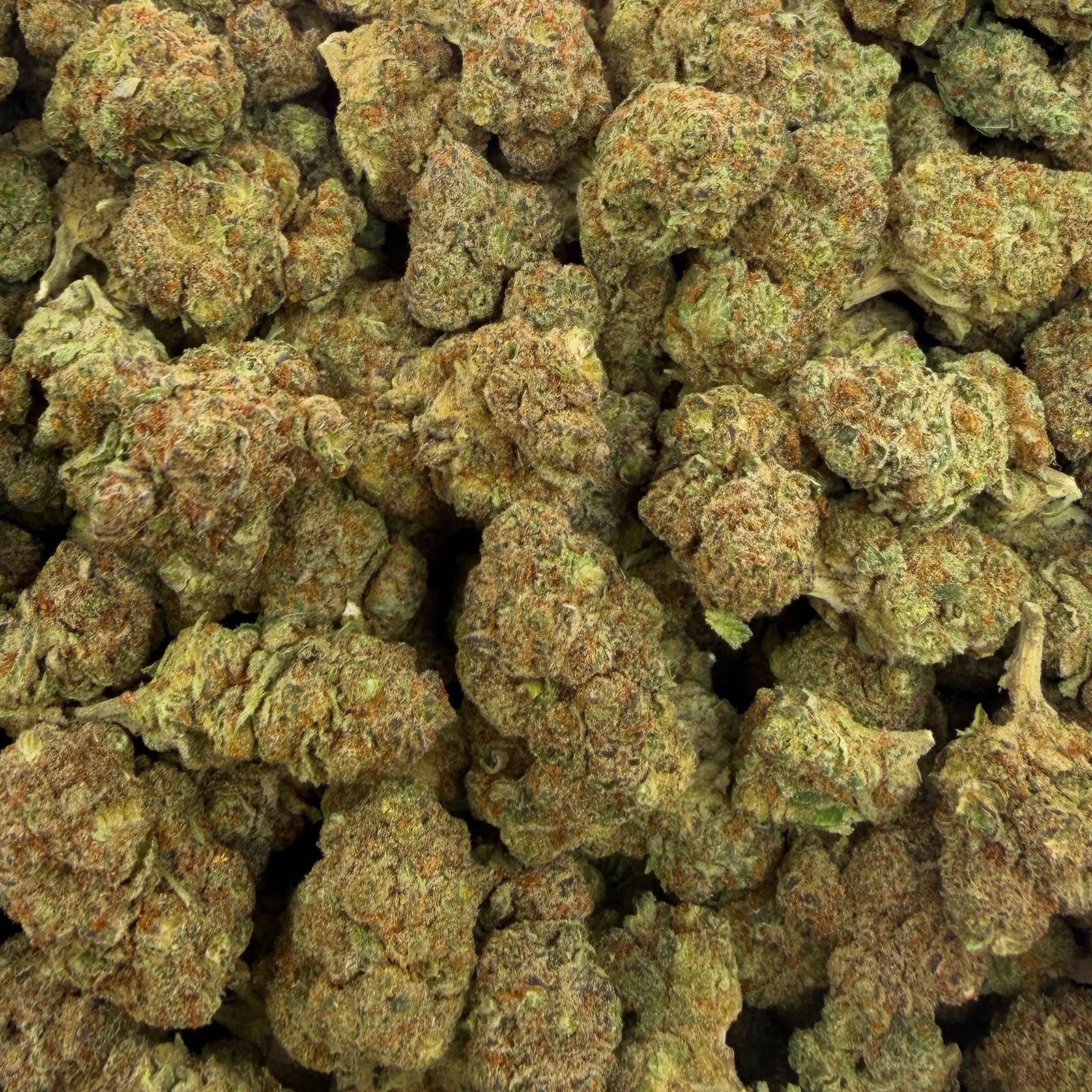 Moon Walkers bulk THCA flower — Plain Jane 1 lb