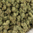 Motor Breath bulk THCA flower — Plain Jane 1 lb