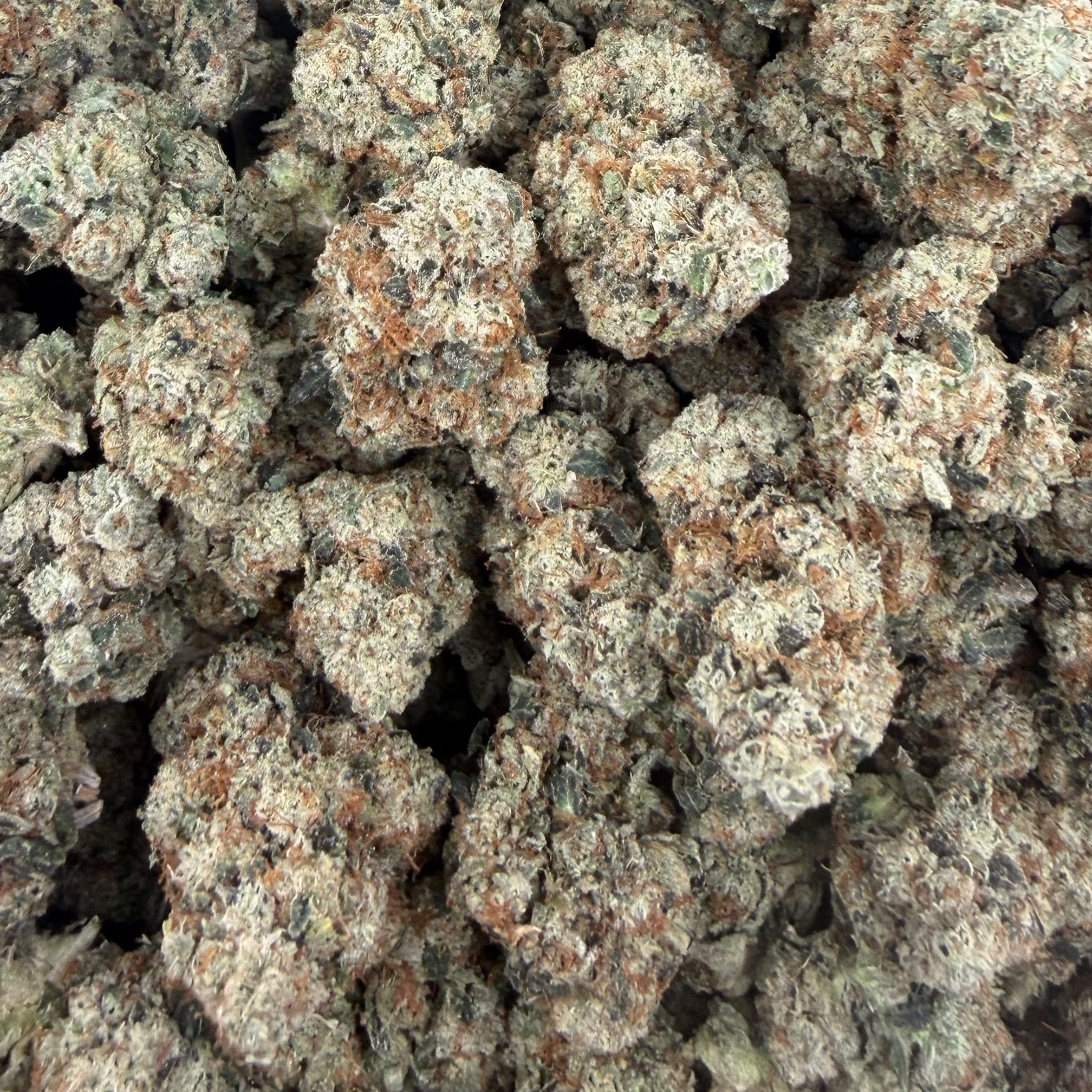 Motor Breath bulk THCA flower — Plain Jane 1 lb
