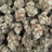 Motor Breath bulk THCA flower — Plain Jane 1 lb