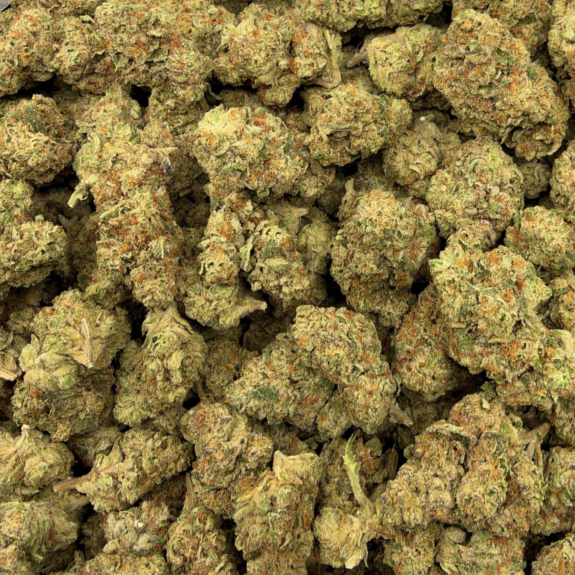 Mule Fuel bulk THCA flower — Plain Jane 1 lb