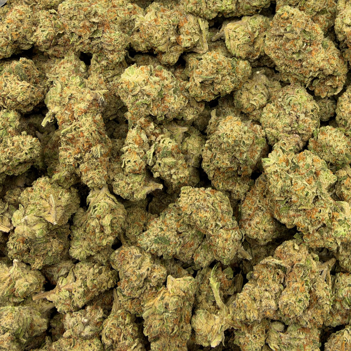 Mule Fuel bulk THCA flower — Plain Jane 1 lb
