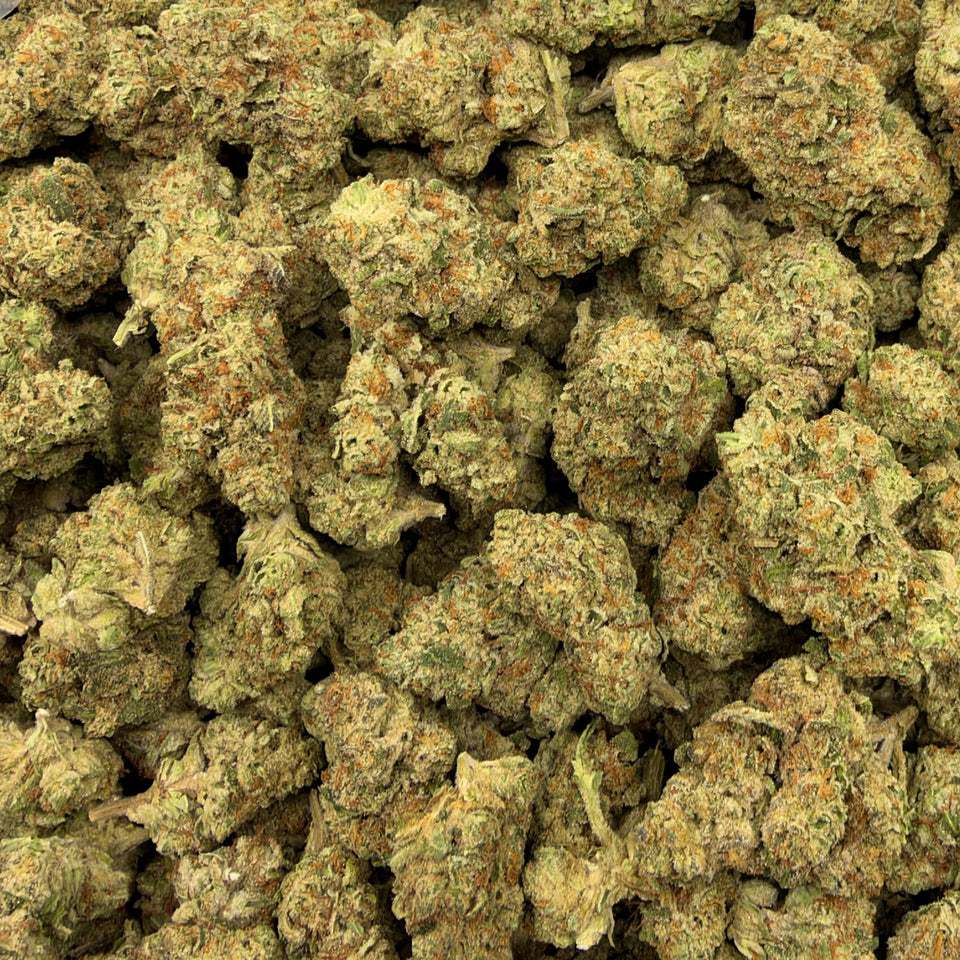 Mule Fuel (Light-Assisted) – Bulk THCA Flower 1 lb