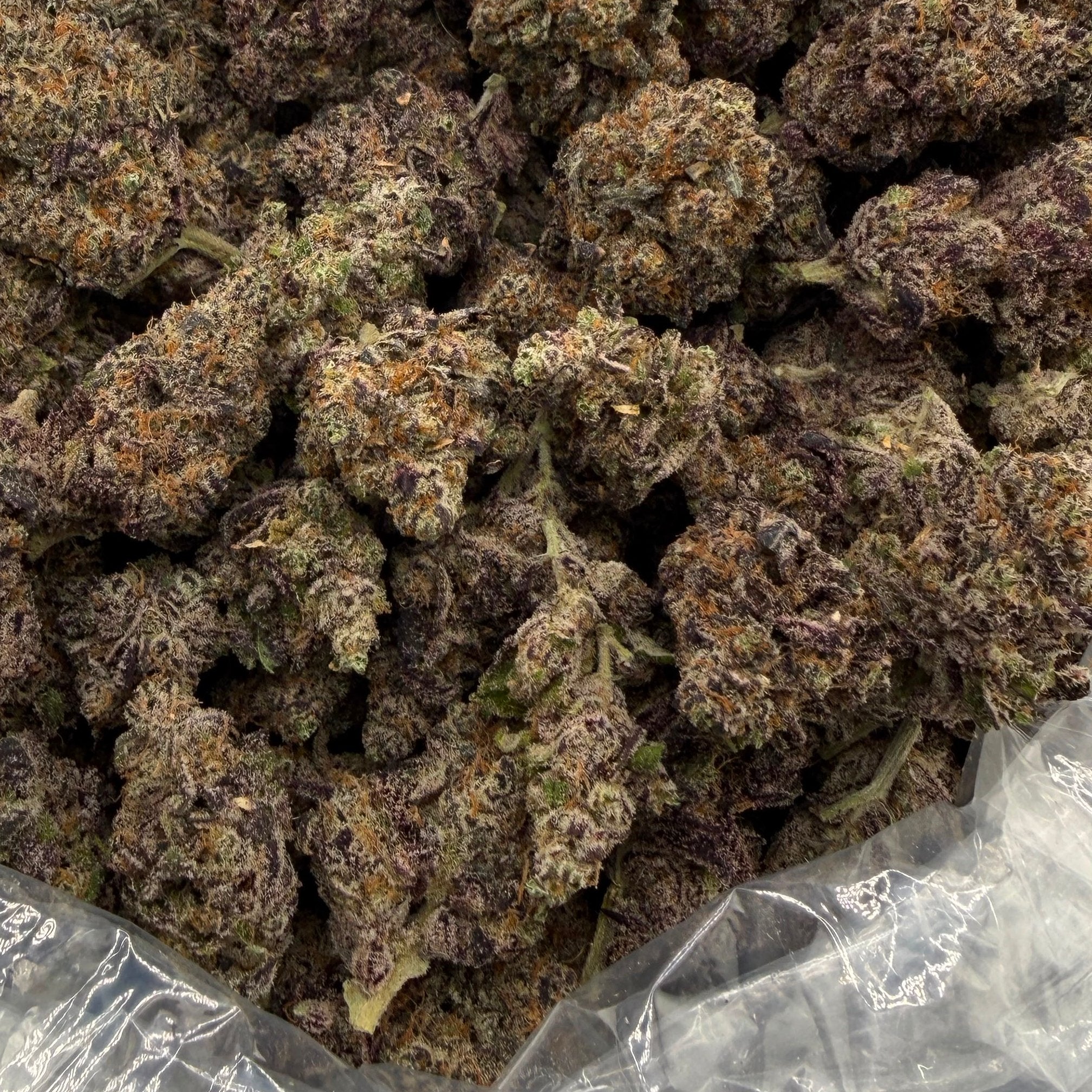 Night Walker bulk THCA flower — Plain Jane 1 lb