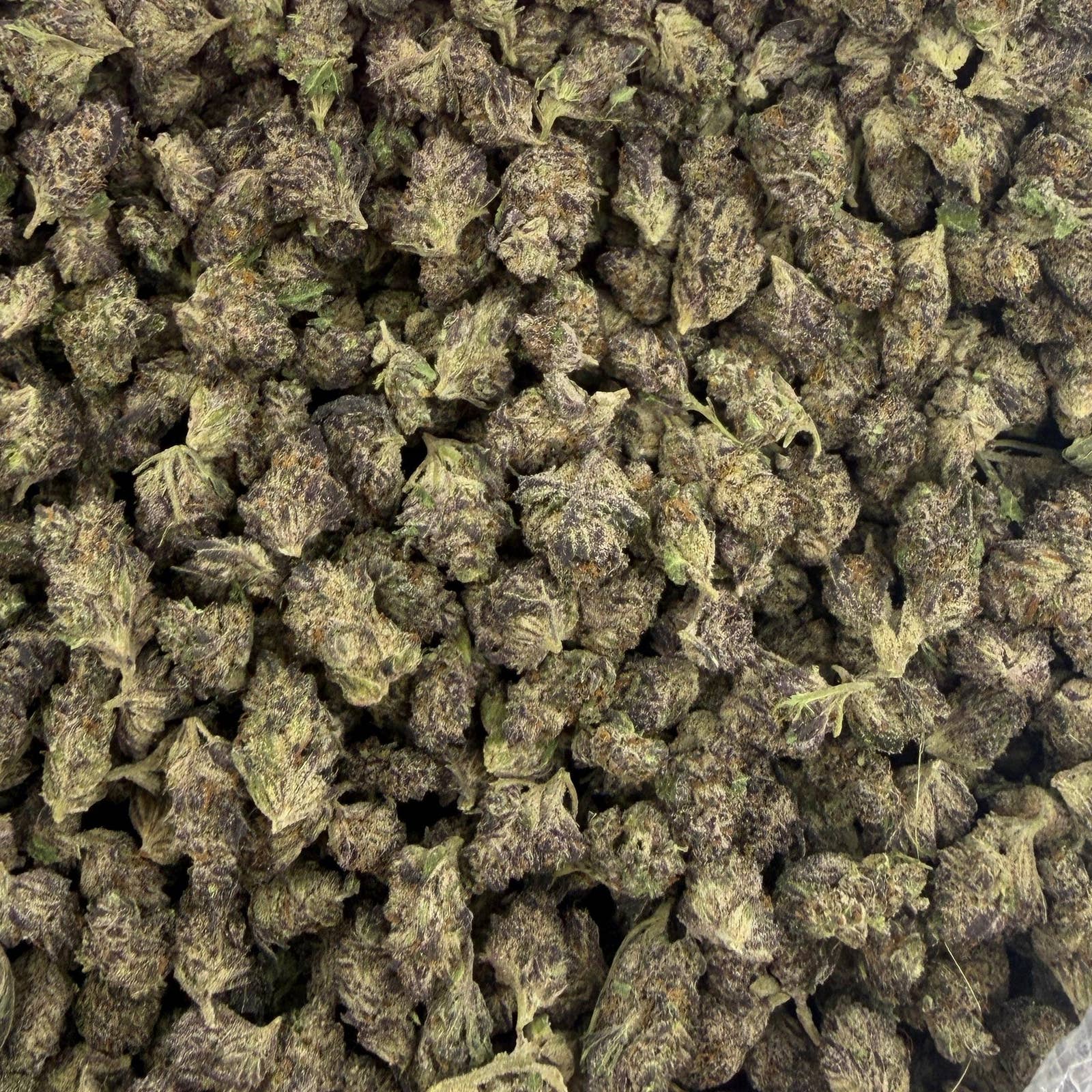 Night Walker bulk THCA flower — Plain Jane 1 lb