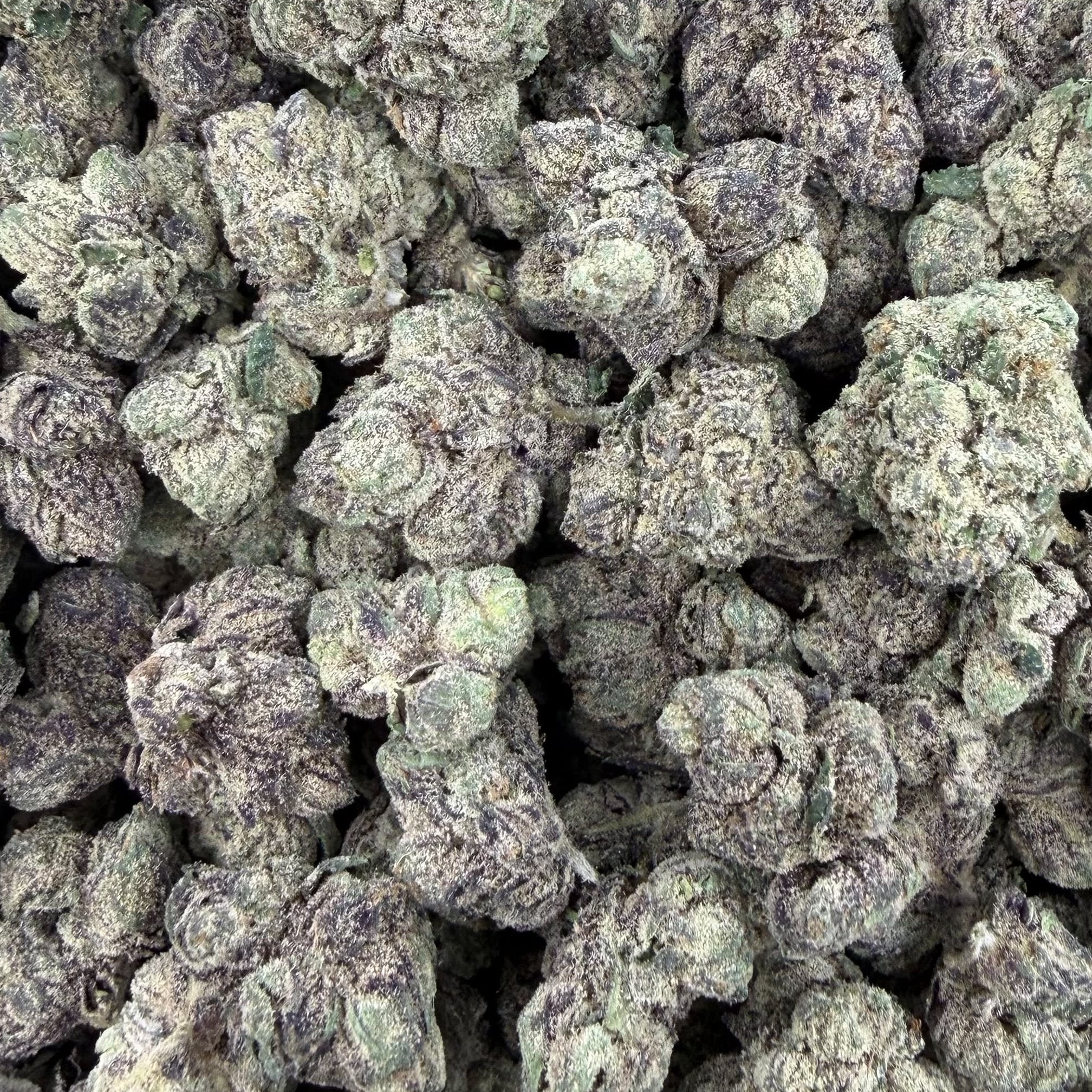 Night Walker bulk THCA flower — Plain Jane 1 lb