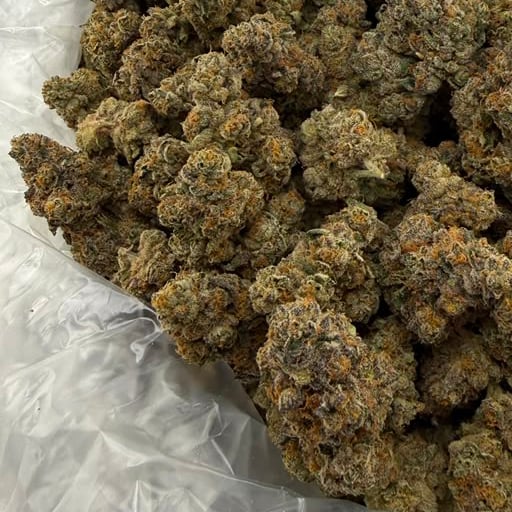 Nimbus Snacks bulk THCA flower — Plain Jane 1 lb