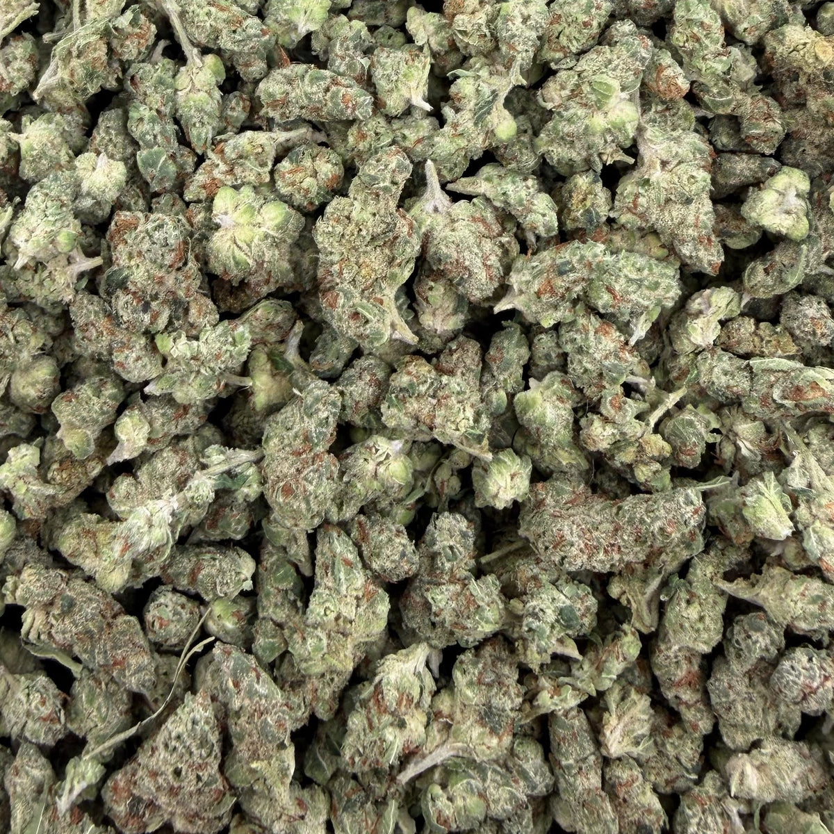 Nimbus Snacks bulk THCA flower — Plain Jane 1 lb