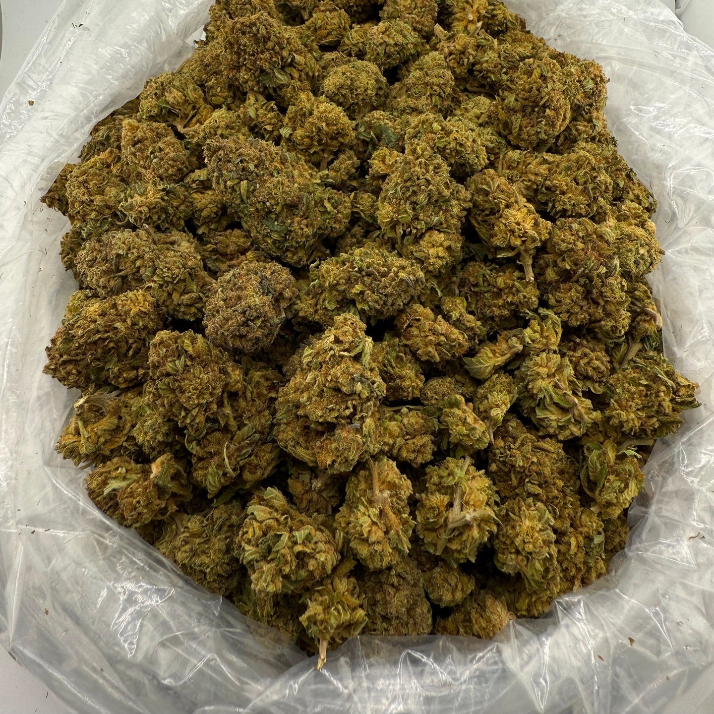 Oakland Runtz bulk THCA flower — Plain Jane 1 lb