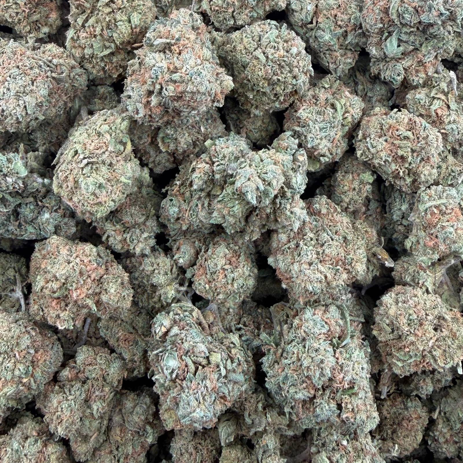 Omega Runtz bulk THCA flower — Plain Jane 1 lb