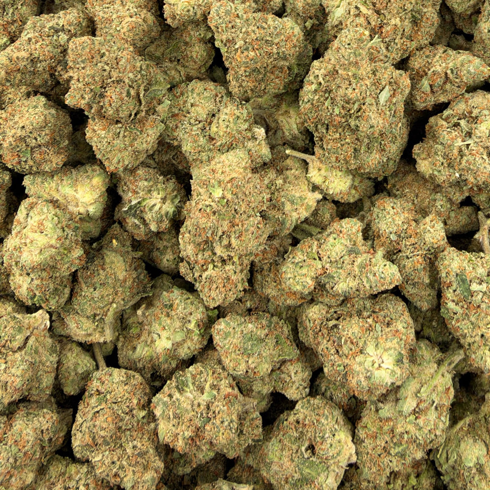 Orange Cookies (Value Indoor) – Bulk THCA Flower 1 lb