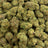 Orange Skunk bulk THCA flower — Plain Jane 1 lb