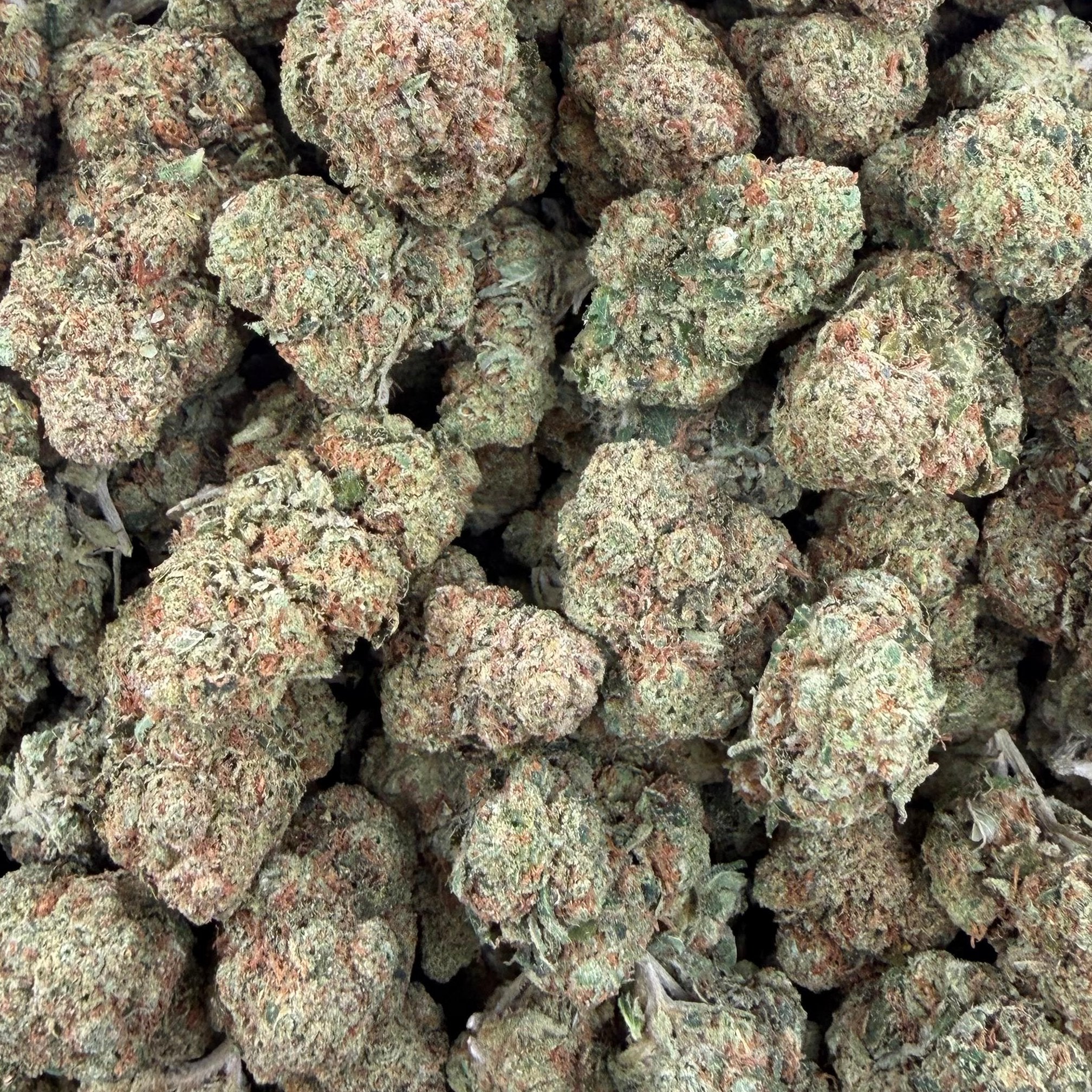 Orange Skunk bulk THCA flower — Plain Jane 1 lb