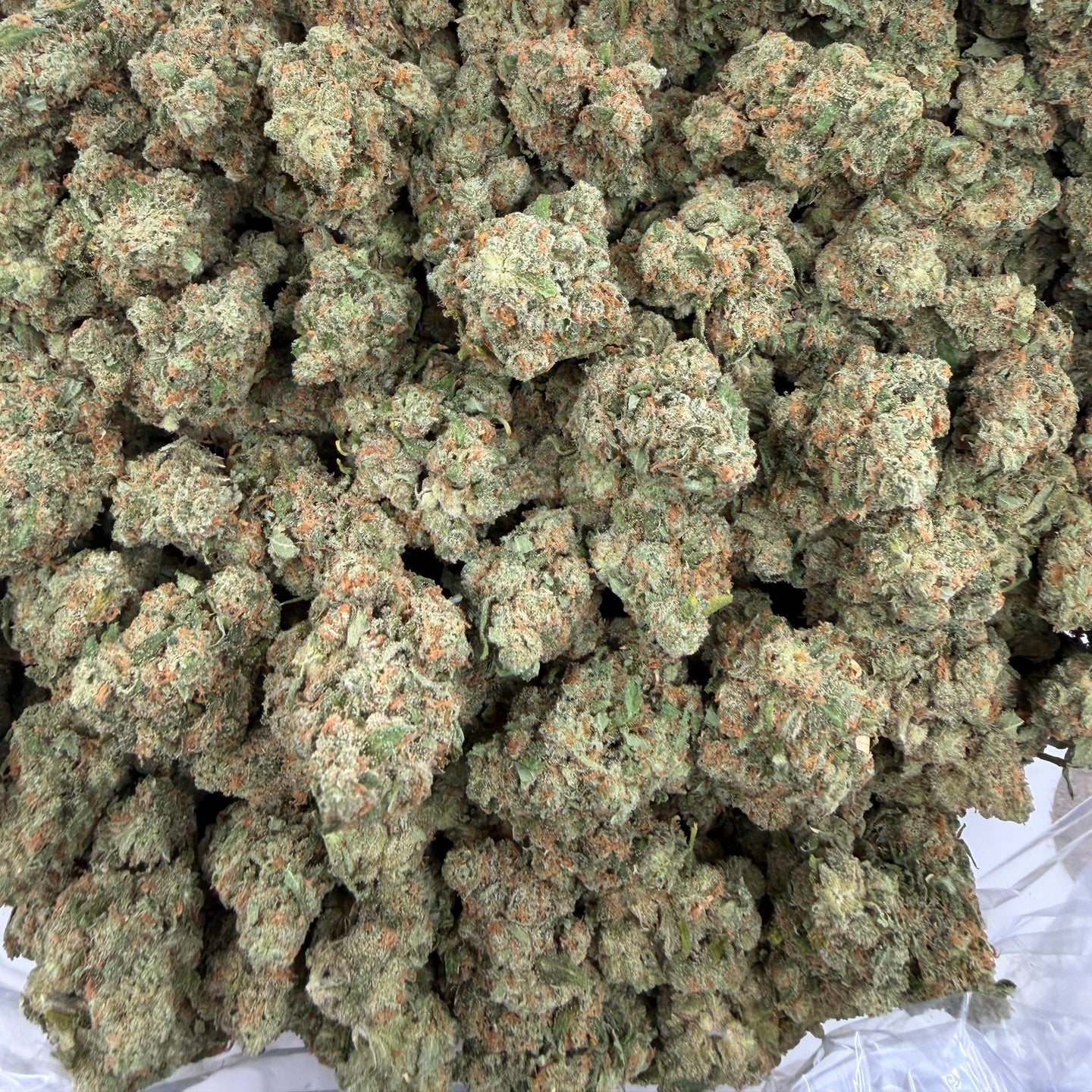 Orange Tree bulk THCA flower — Plain Jane 1 lb