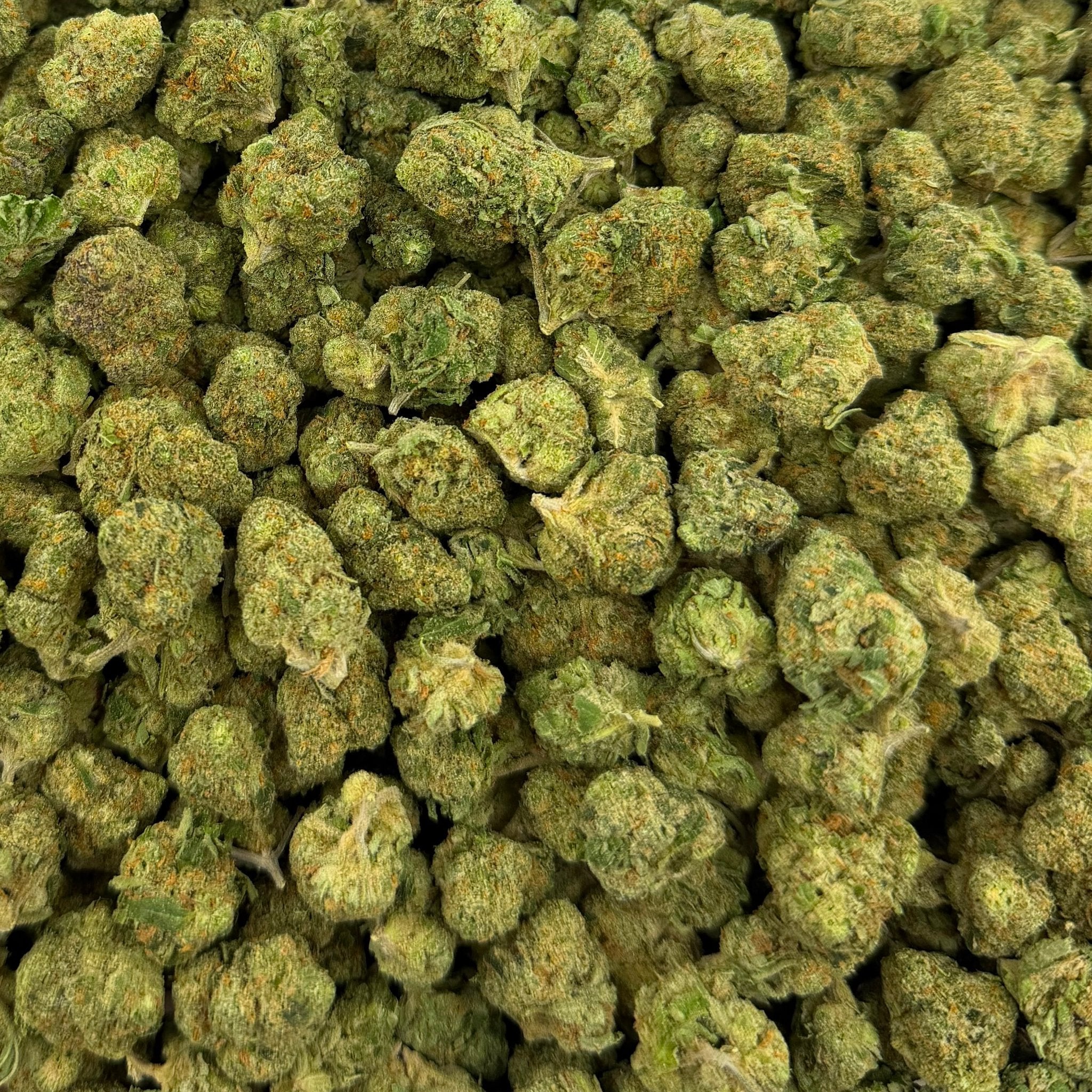 Orange Tree bulk THCA flower — Plain Jane 1 lb