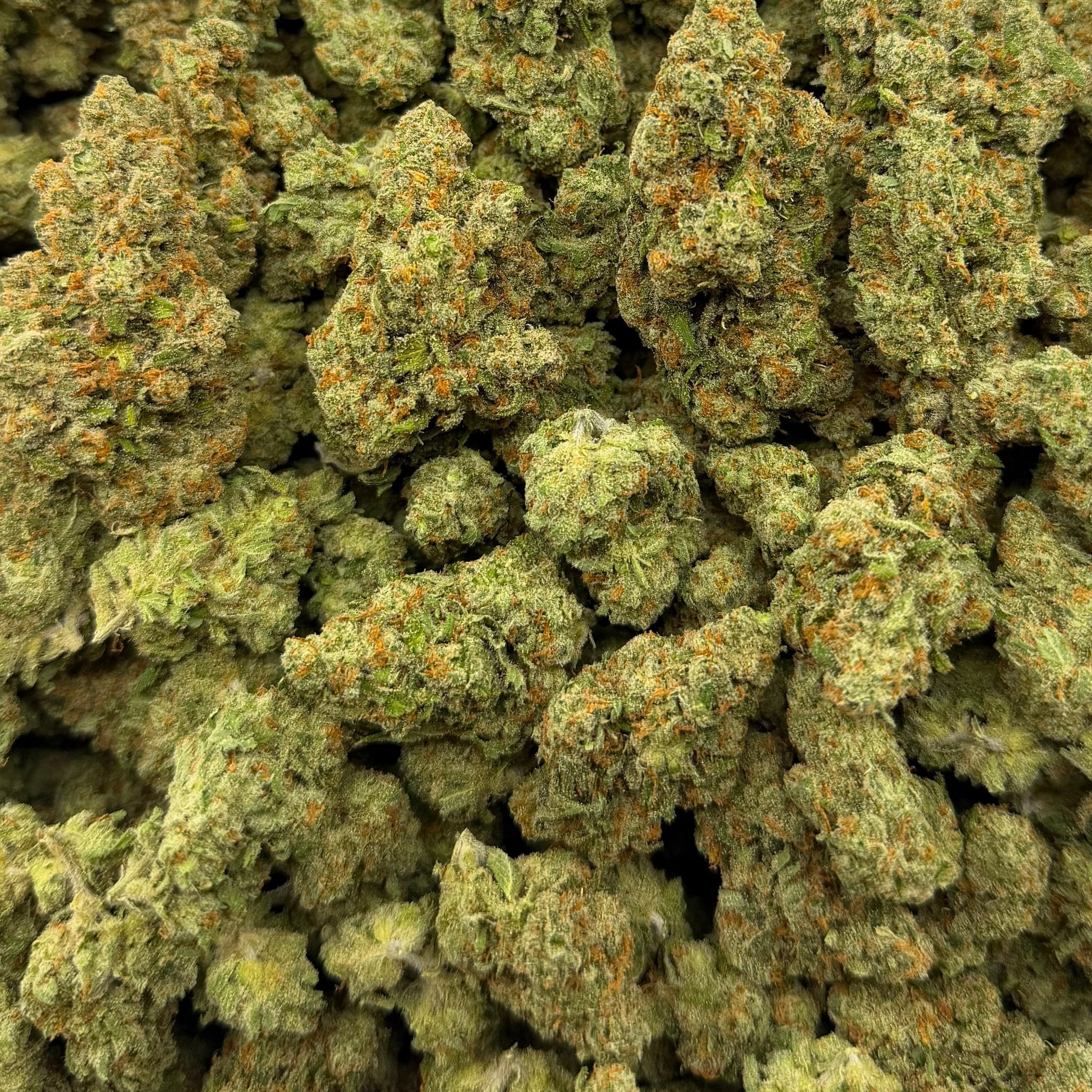 Orange Tree bulk THCA flower — Plain Jane 1 lb