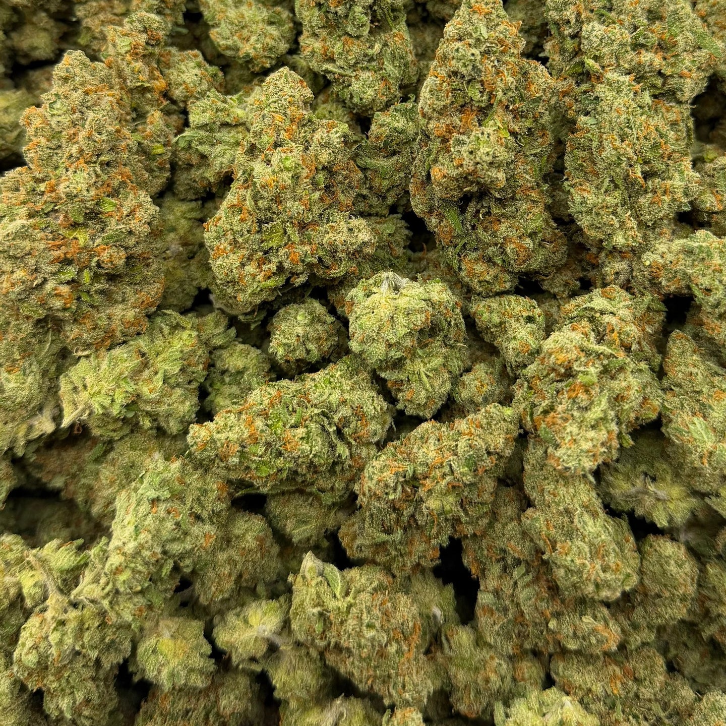 Orange Tree bulk THCA flower — Plain Jane 1 lb