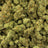 Orange Tree bulk THCA flower — Plain Jane 1 lb