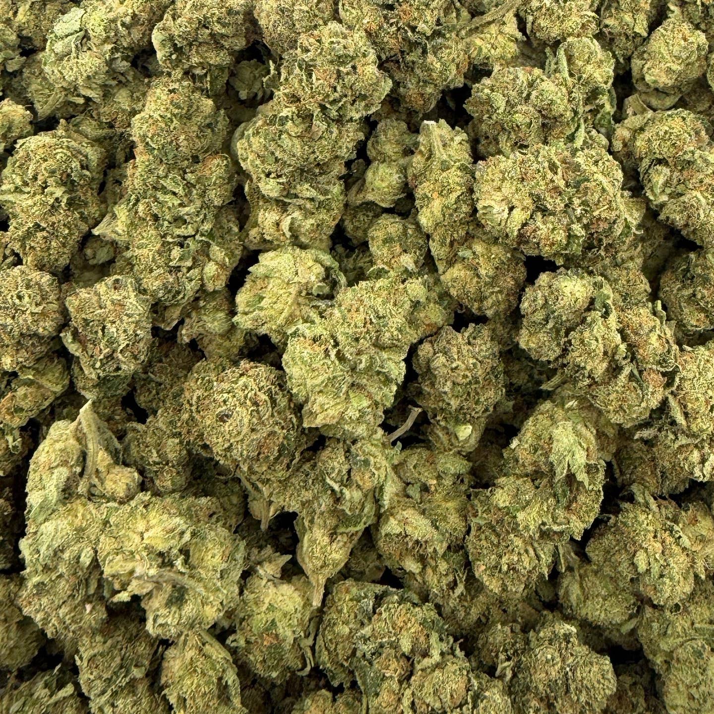 Orange Tree bulk THCA flower — Plain Jane 1 lb