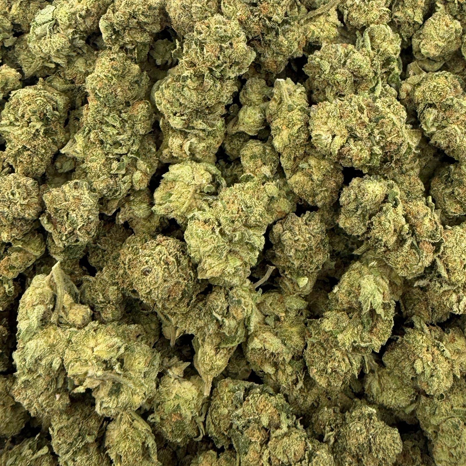 Orange Tree bulk THCA flower — Plain Jane 1 lb