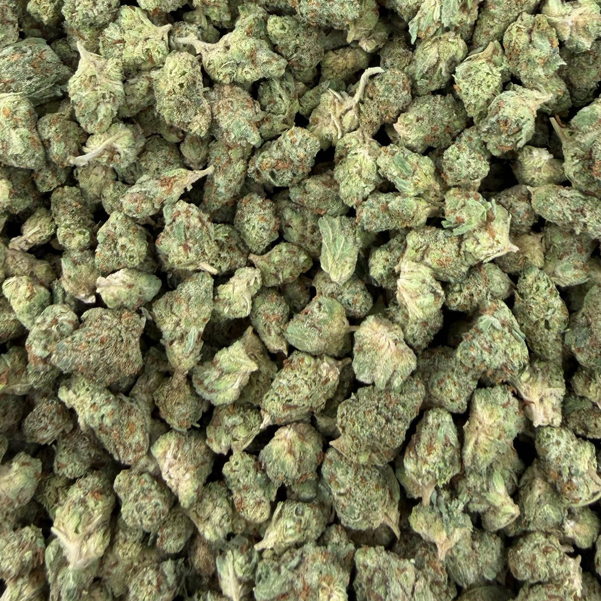 Orange Tree bulk THCA flower — Plain Jane 1 lb