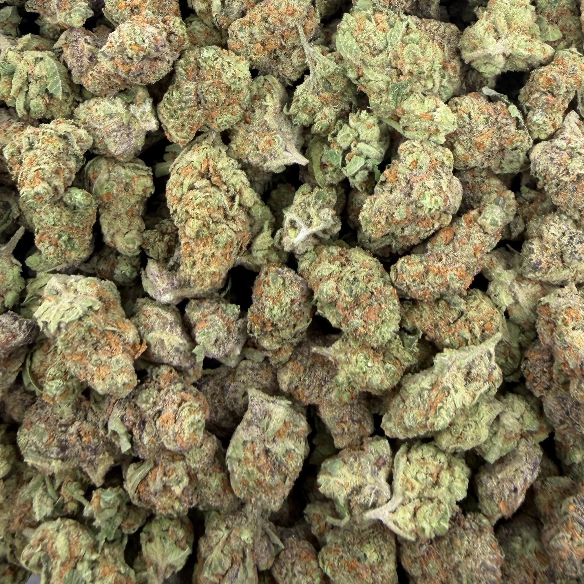 Orange Tree bulk THCA flower — Plain Jane 1 lb