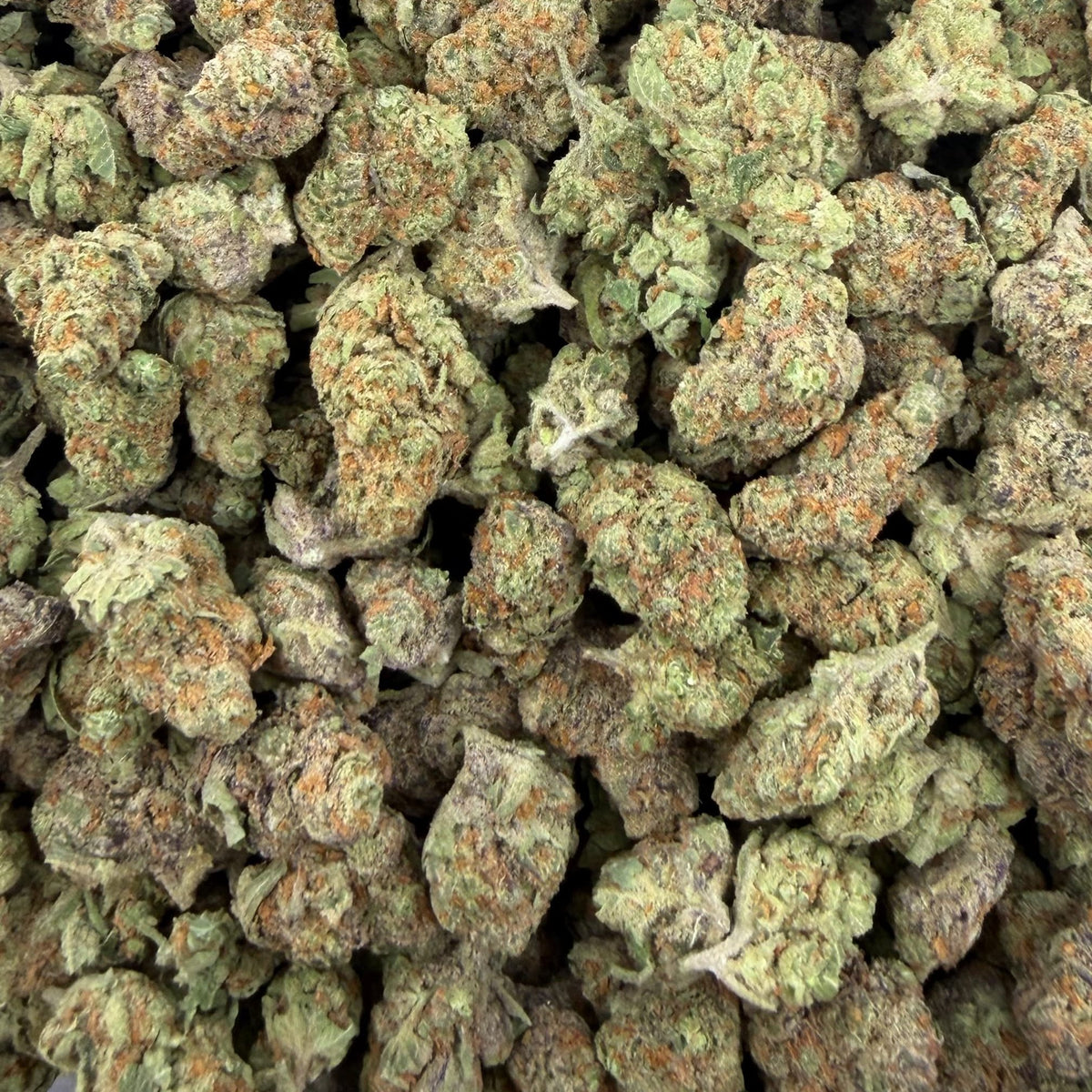 Orange Tree bulk THCA flower — Plain Jane 1 lb
