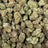 Orange Tree bulk THCA flower — Plain Jane 1 lb