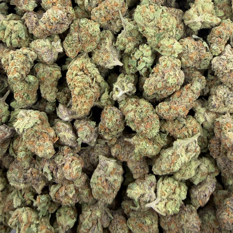 Orange Tree (Value Indoor Medium Buds) – Bulk THCA Flower 1 lb