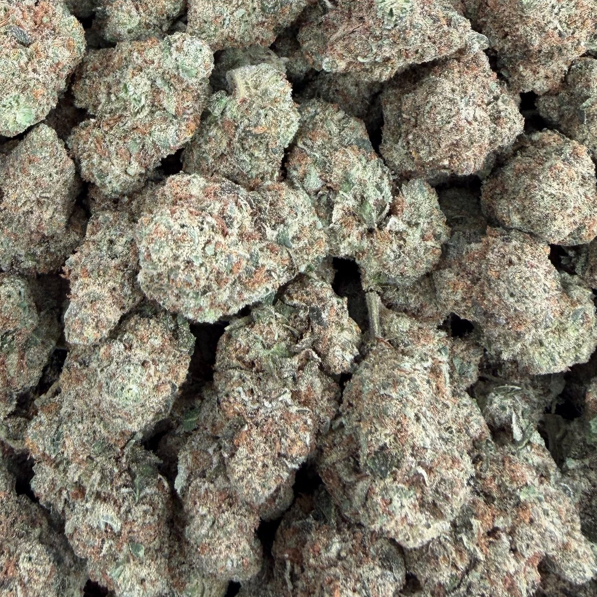 Orange Tree bulk THCA flower — Plain Jane 1 lb