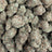 Orange Tree bulk THCA flower — Plain Jane 1 lb