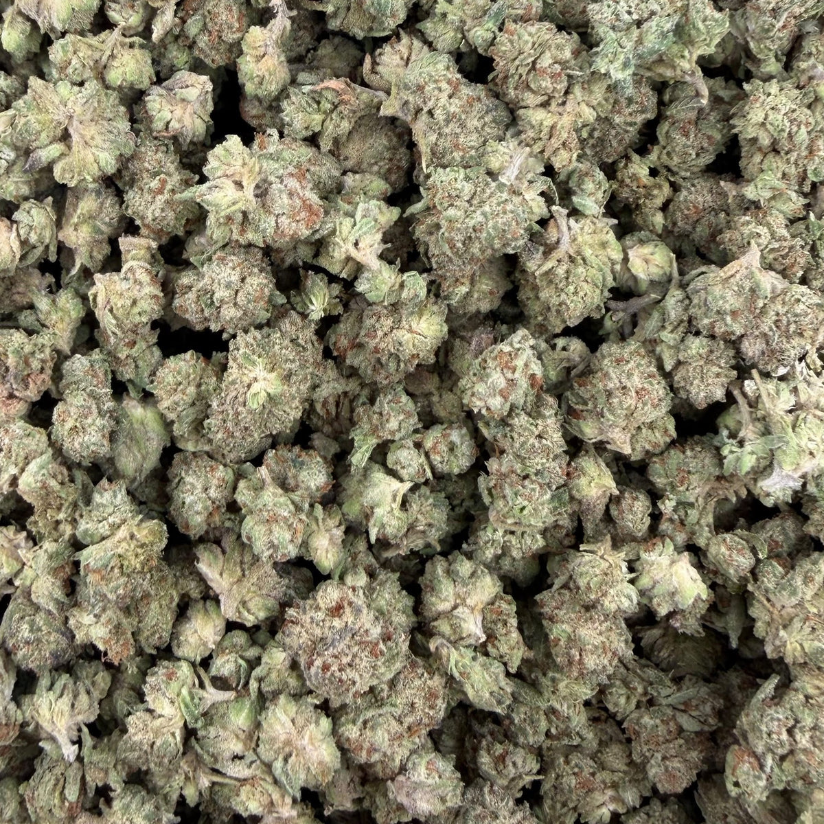 Oreo Breath bulk THCA flower — Plain Jane 1 lb