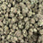 Oreo Breath bulk THCA flower — Plain Jane 1 lb