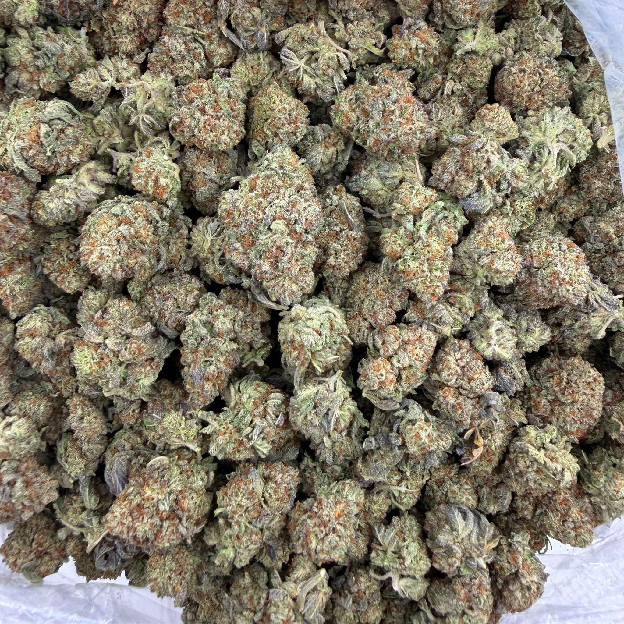 Oreoz bulk THCA flower — Plain Jane 1 lb