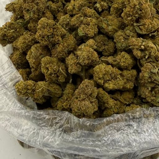 Oreoz bulk THCA flower — Plain Jane 1 lb