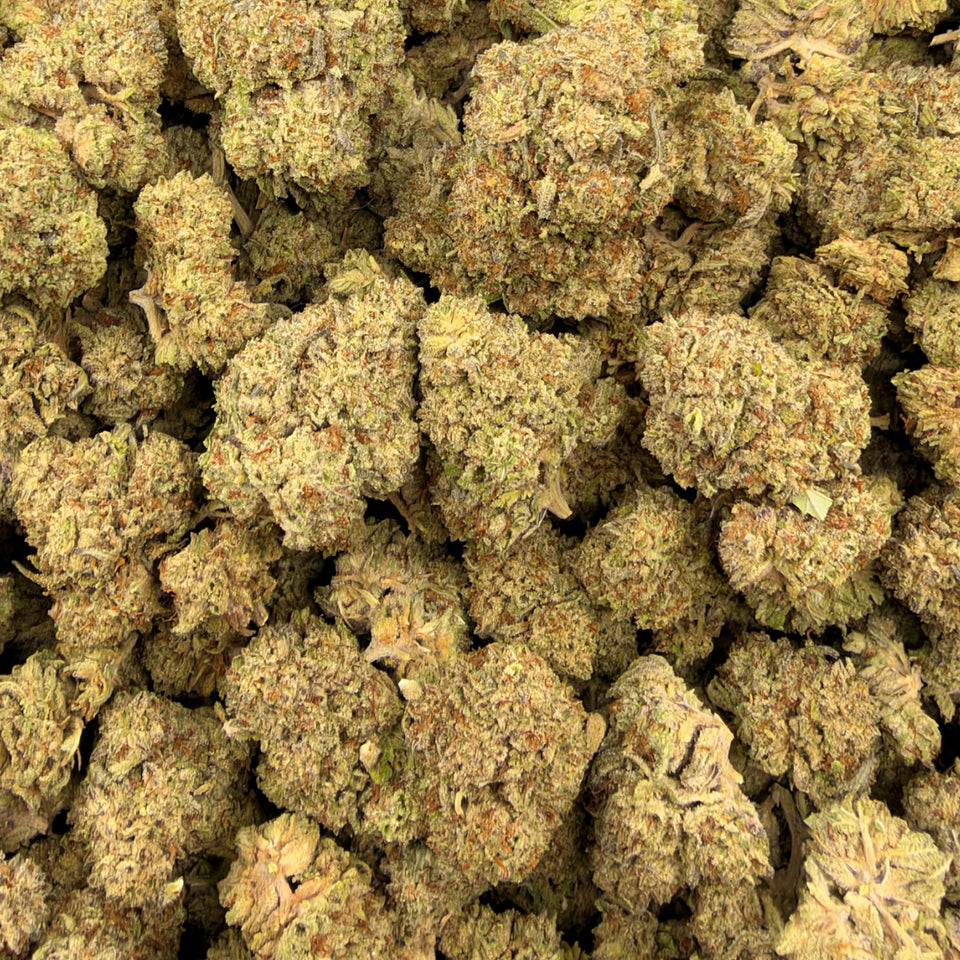 Oreoz (Light-Assisted) – Bulk THCA Flower 1 lb