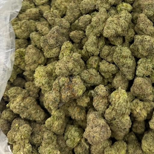 Papa Burger bulk THCA flower — Plain Jane 1 lb