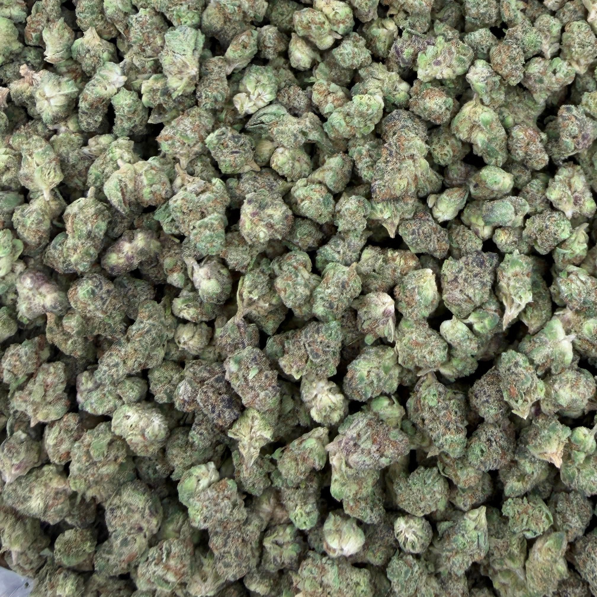 Papa Burger bulk THCA flower — Plain Jane 1 lb