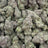 Papa Burger bulk THCA flower — Plain Jane 1 lb