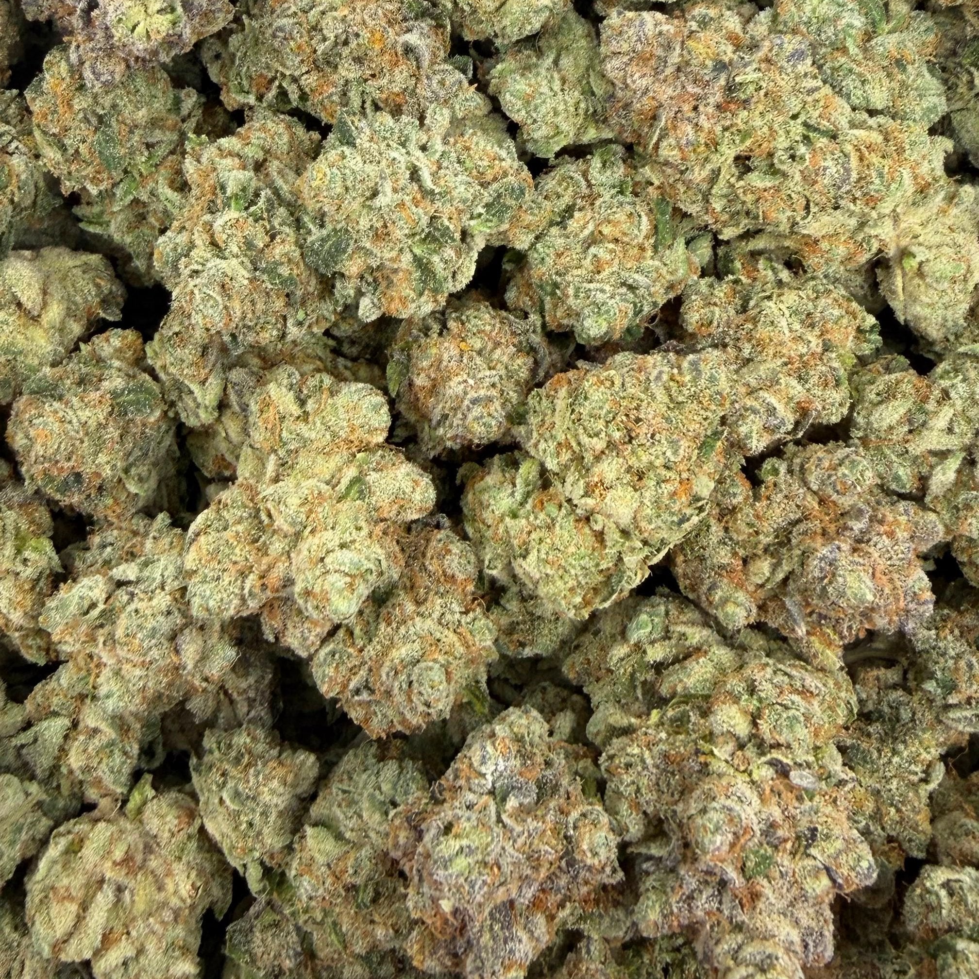 Papaya Bomb bulk THCA flower — Plain Jane 1 lb