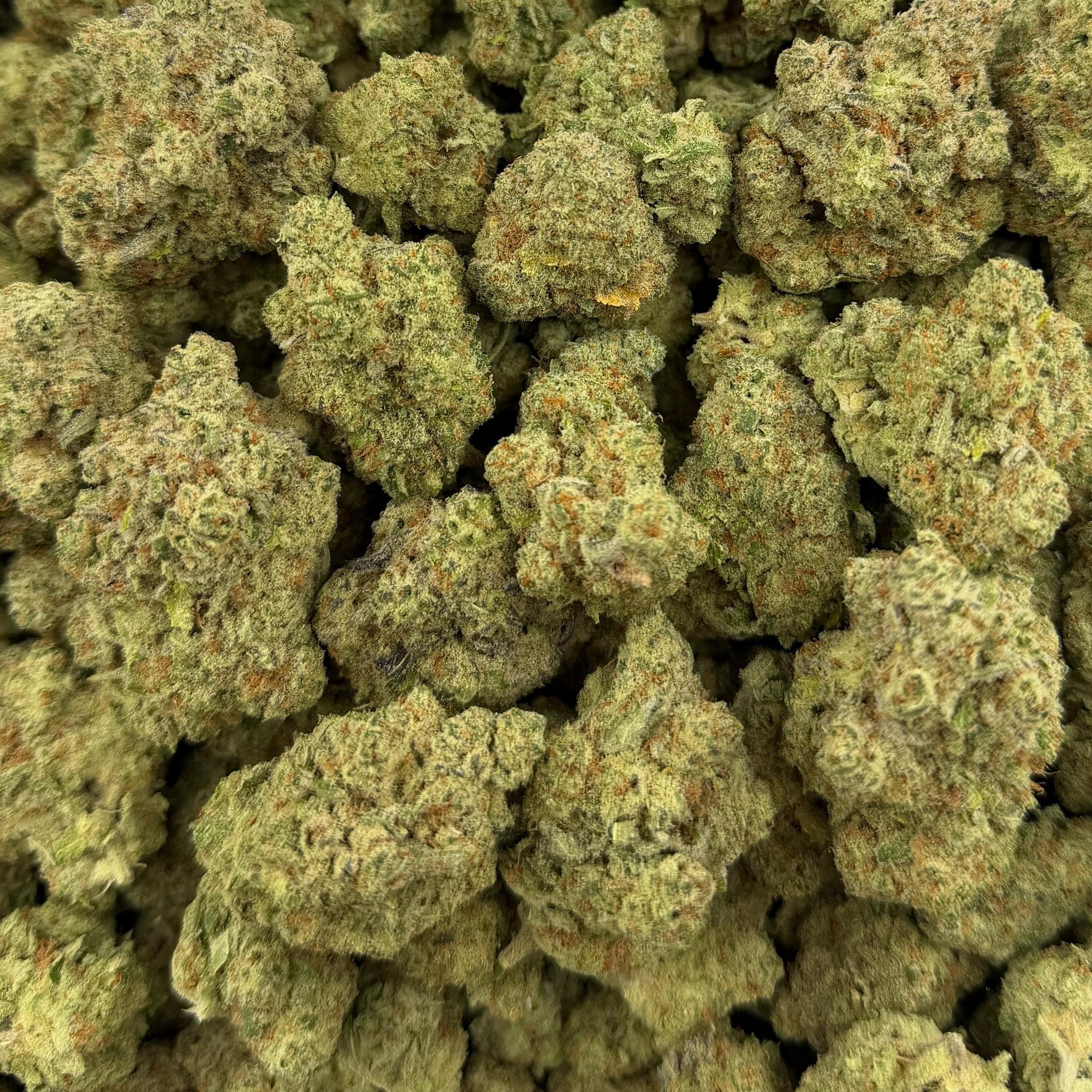 Papaya Bomb bulk THCA flower — Plain Jane 1 lb