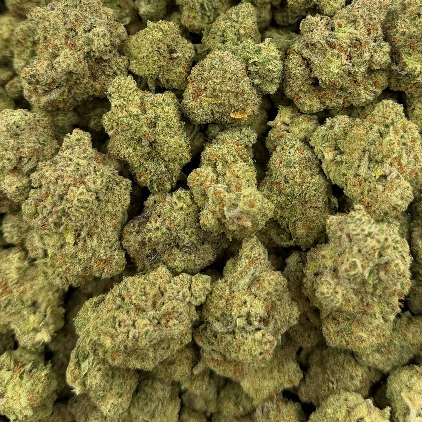 Papaya Bomb bulk THCA flower — Plain Jane 1 lb