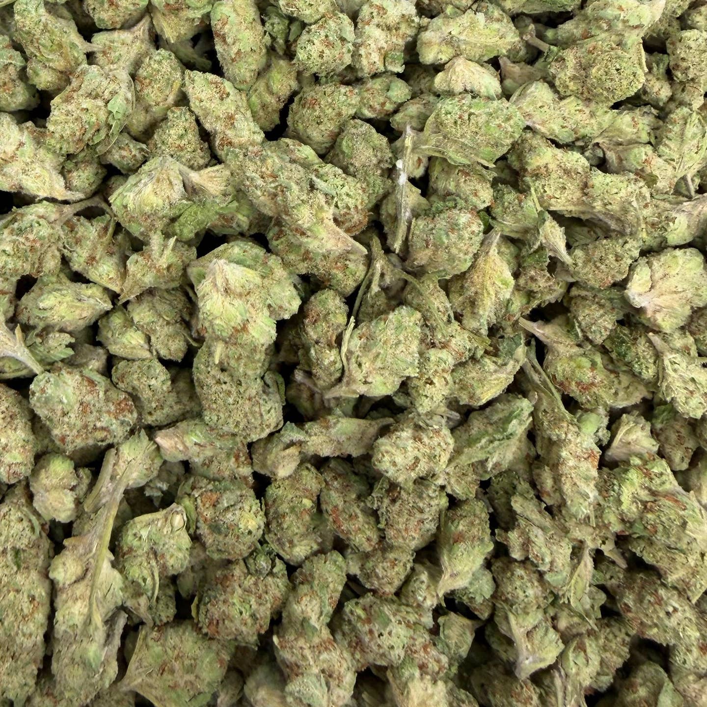 Papaya Bomb bulk THCA flower — Plain Jane 1 lb