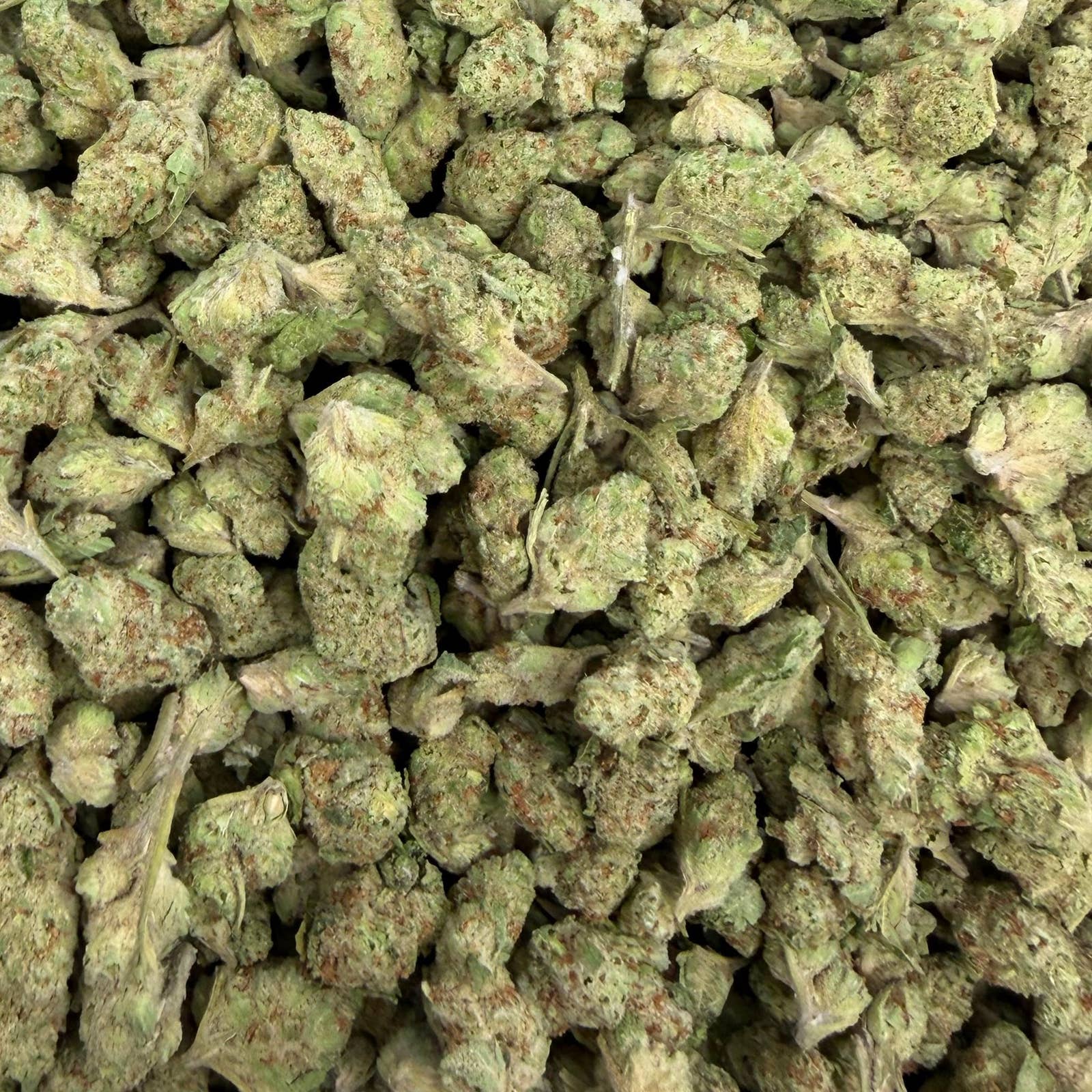 Papaya Bomb bulk THCA flower — Plain Jane 1 lb